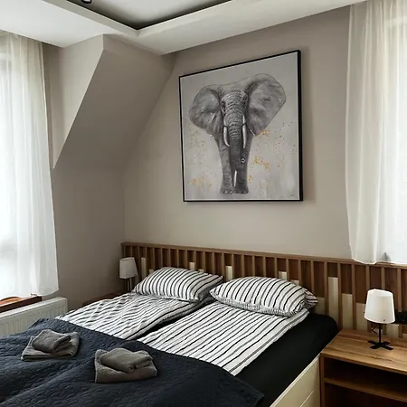 Sumska Staza Divčibare