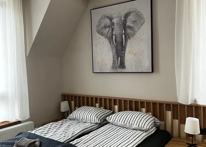 Sumska Staza Divčibare